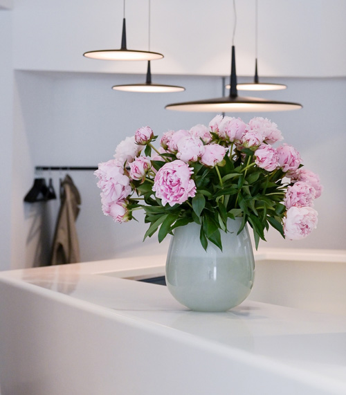 Blume in Vase in GASTROMEDICS Arztpraxis